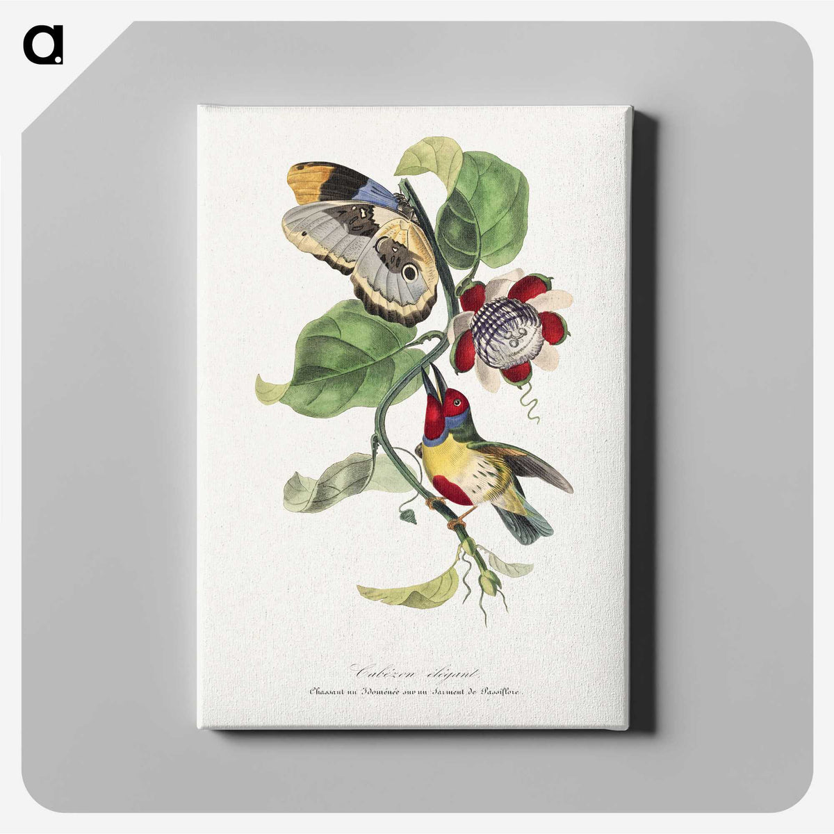 1-12_Le-Jardin-des-Plantes_canvas