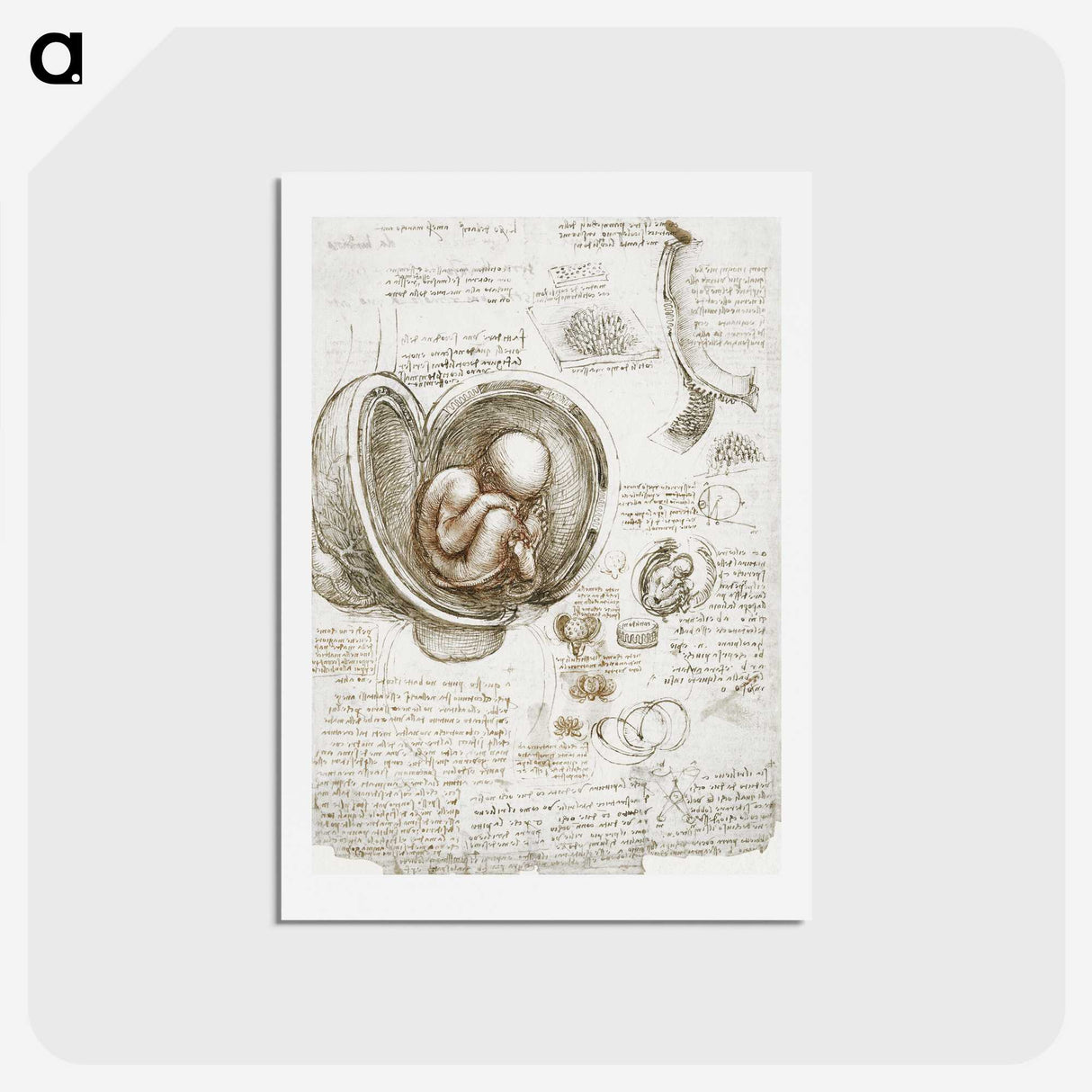 1-12_Leonardo-Da-Vinci_hagaki