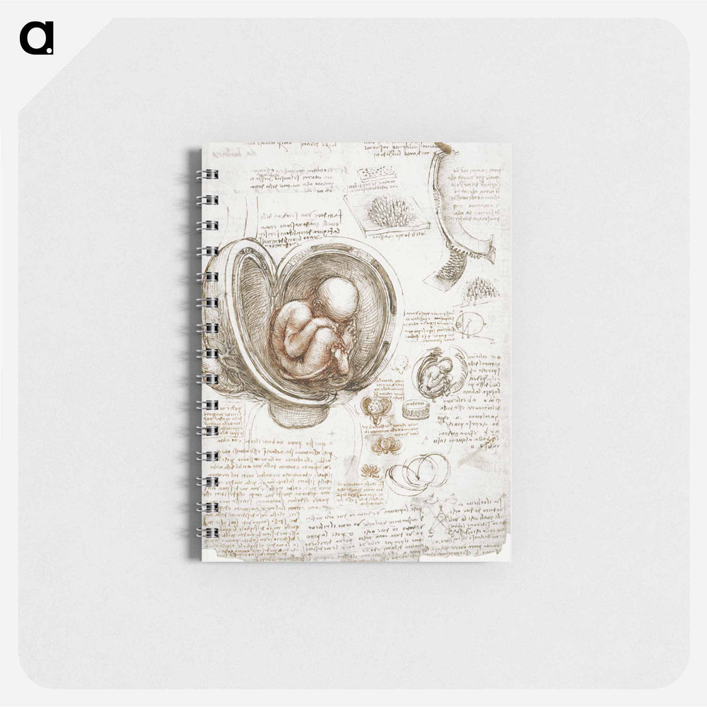 Studies of the Foetus in the Womb - レオナルド ダ ヴィンチ Memo.