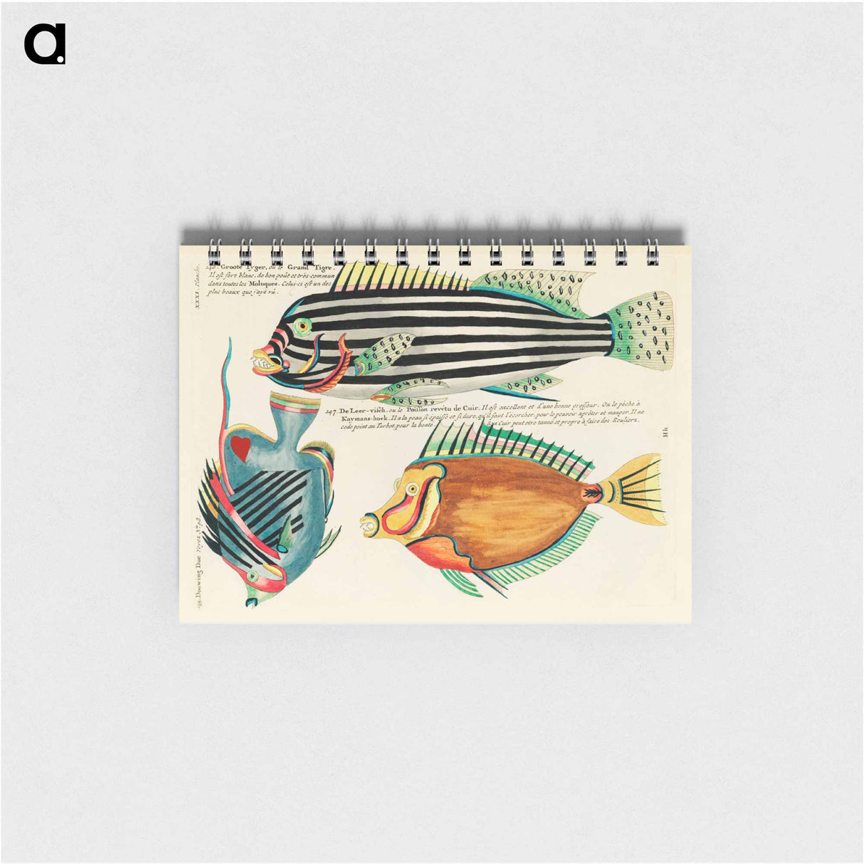 Moluccan Fishes
- ルイ ルナール Memo.