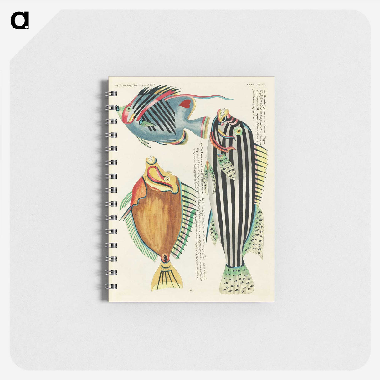1-12_Louis-Renard_memo