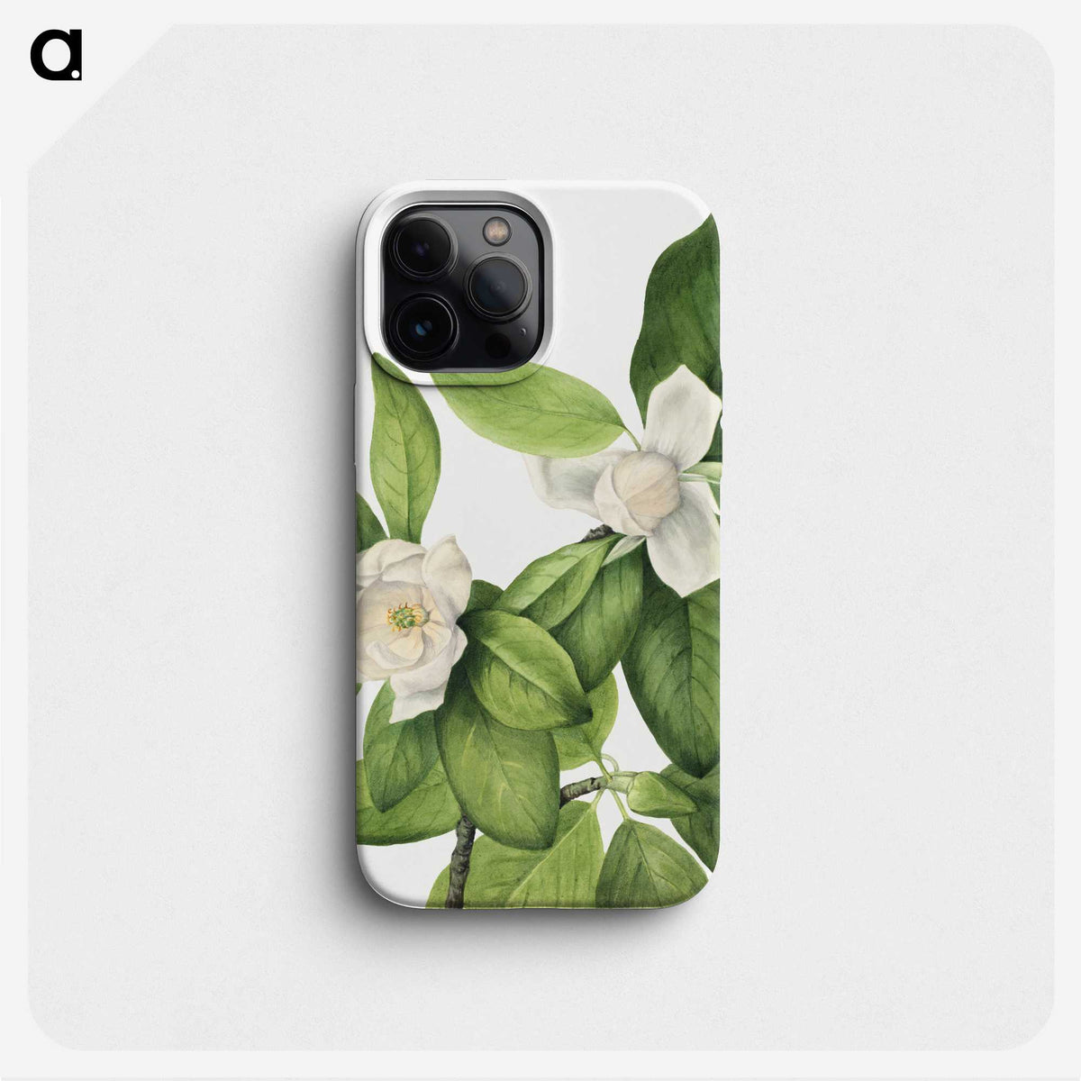 1-12_Mary-Vaux-Walcott_phone