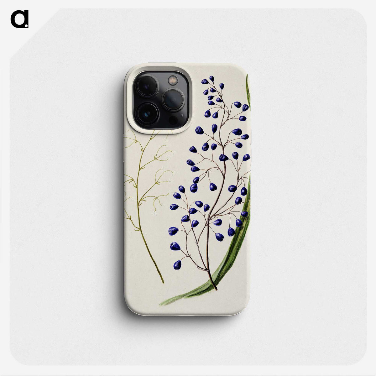 1-12_Native-Flowering-Plants-of-New-Zealand_phone