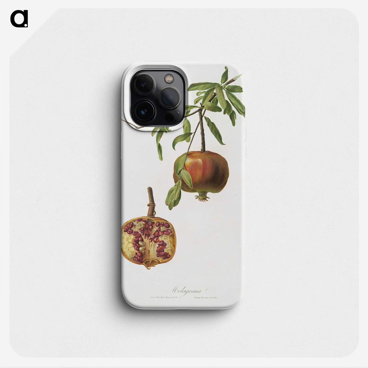 1-12_Pomona-Italiana_phone