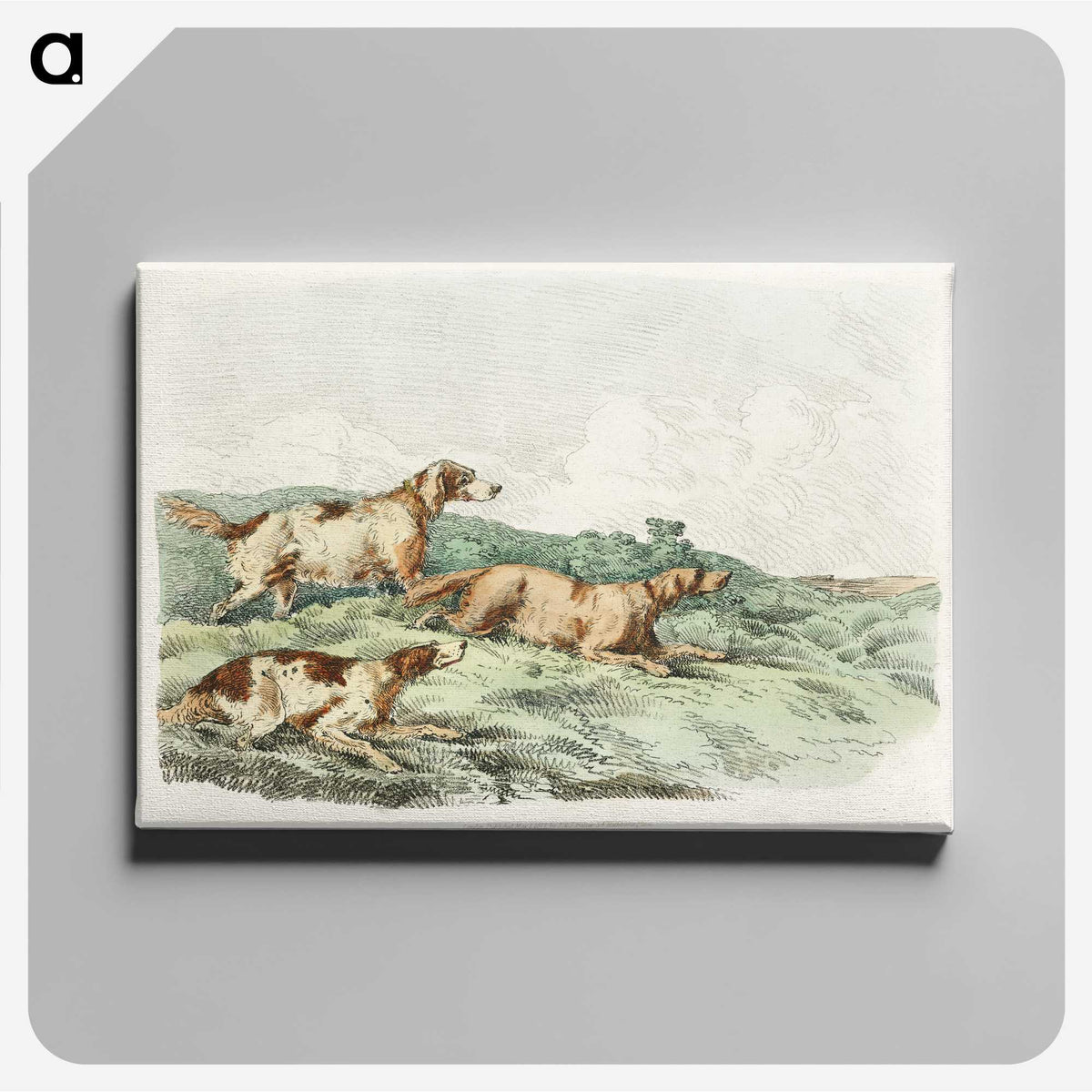 1-12_Sporting-Sketches_canvas