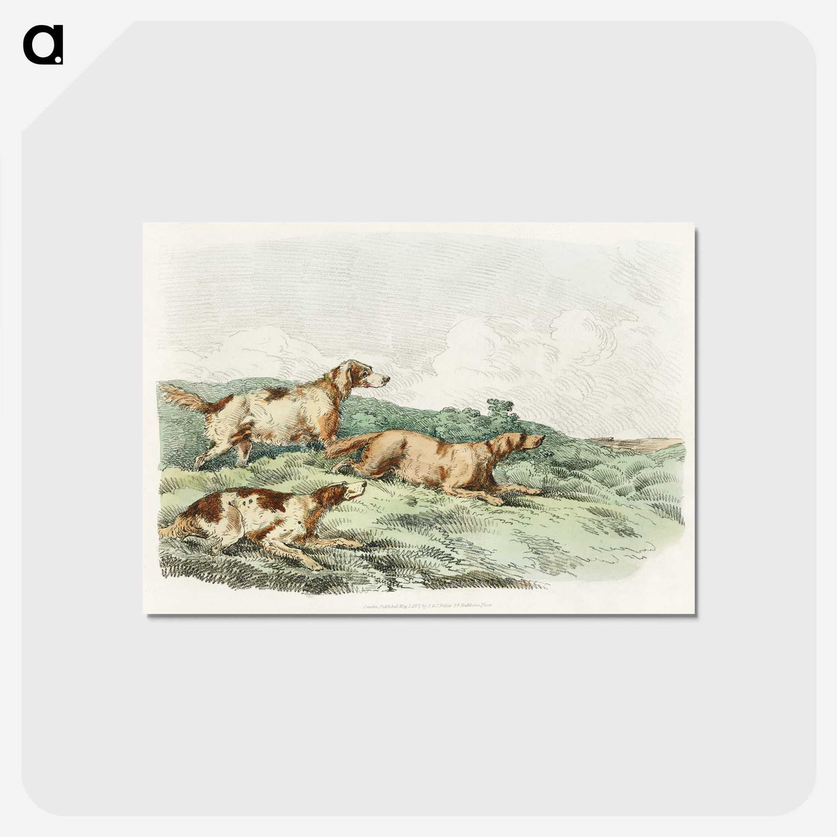1-12_Sporting-Sketches_postcard