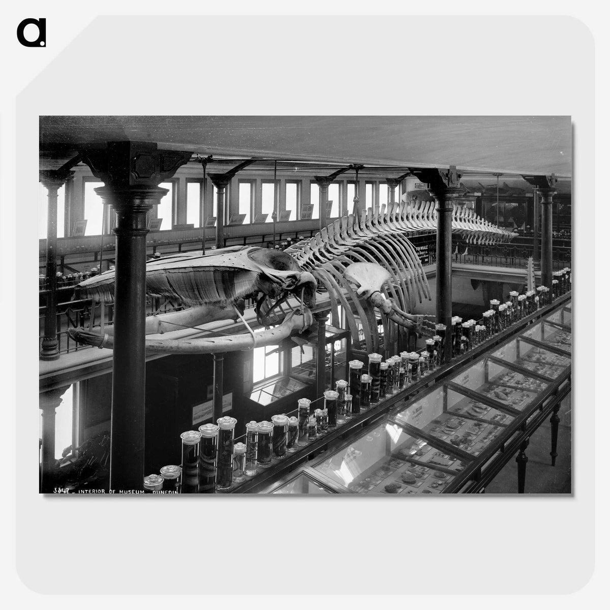 1-12_The-Burton-Brothers_picture-crop