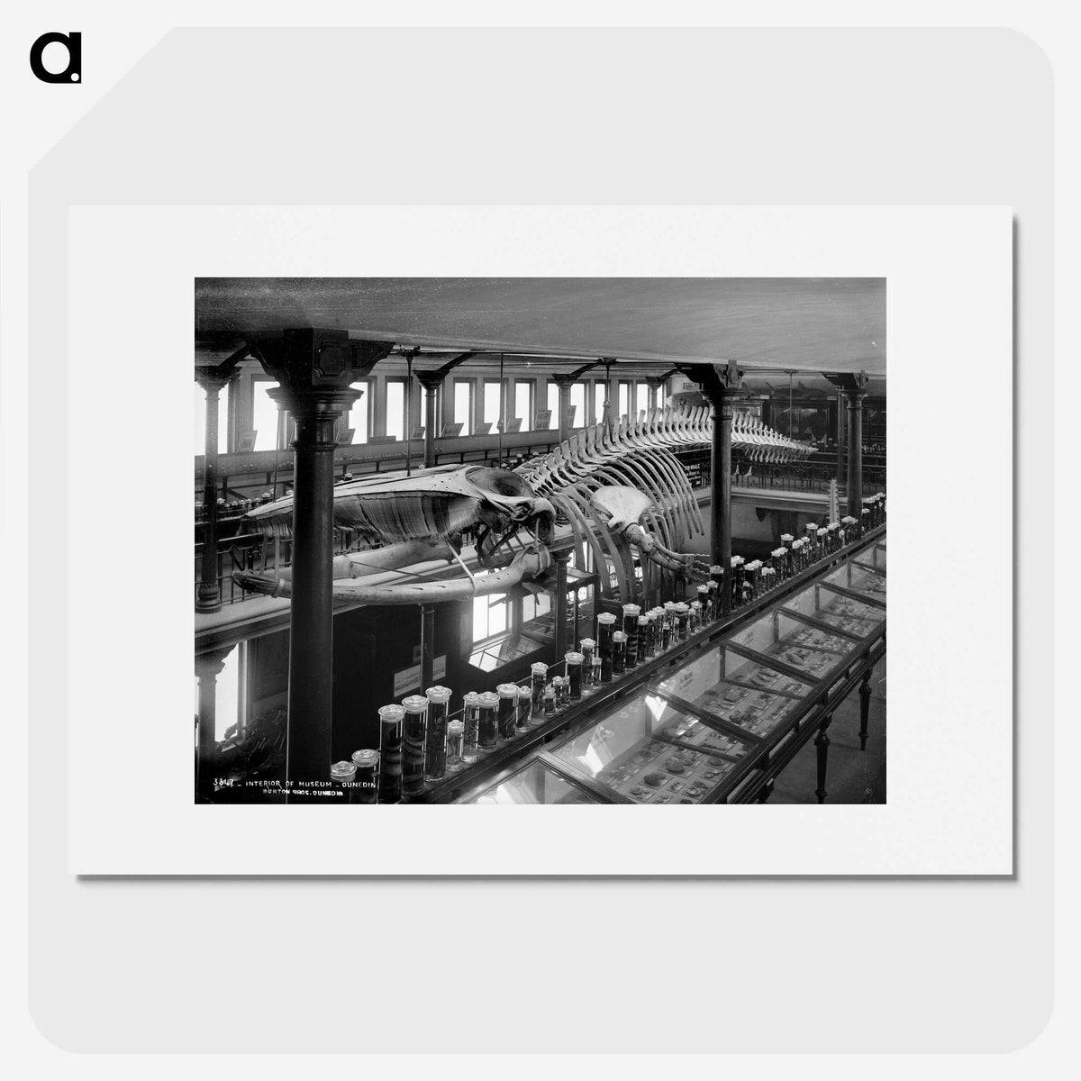 1-12_The-Burton-Brothers_picture