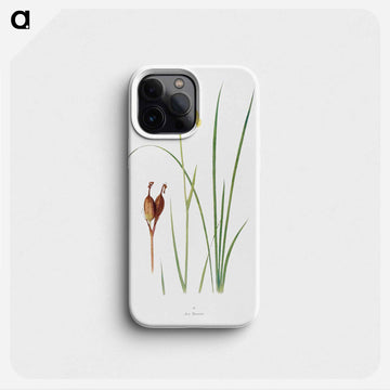 Iris Forrestii from The Genus Iris
 - アヤメ属 Phone Case.
