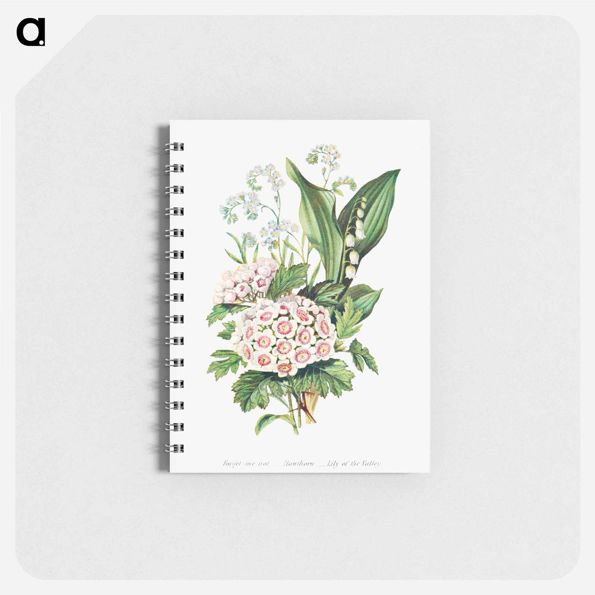 アートメモ帳-Forget Me Not, Hawthorn and Lily of the Valley from The Language of Flowers, or, Floral Emblems of Thoughts, Feelings, and Sentiments
- 花言葉 Memo.