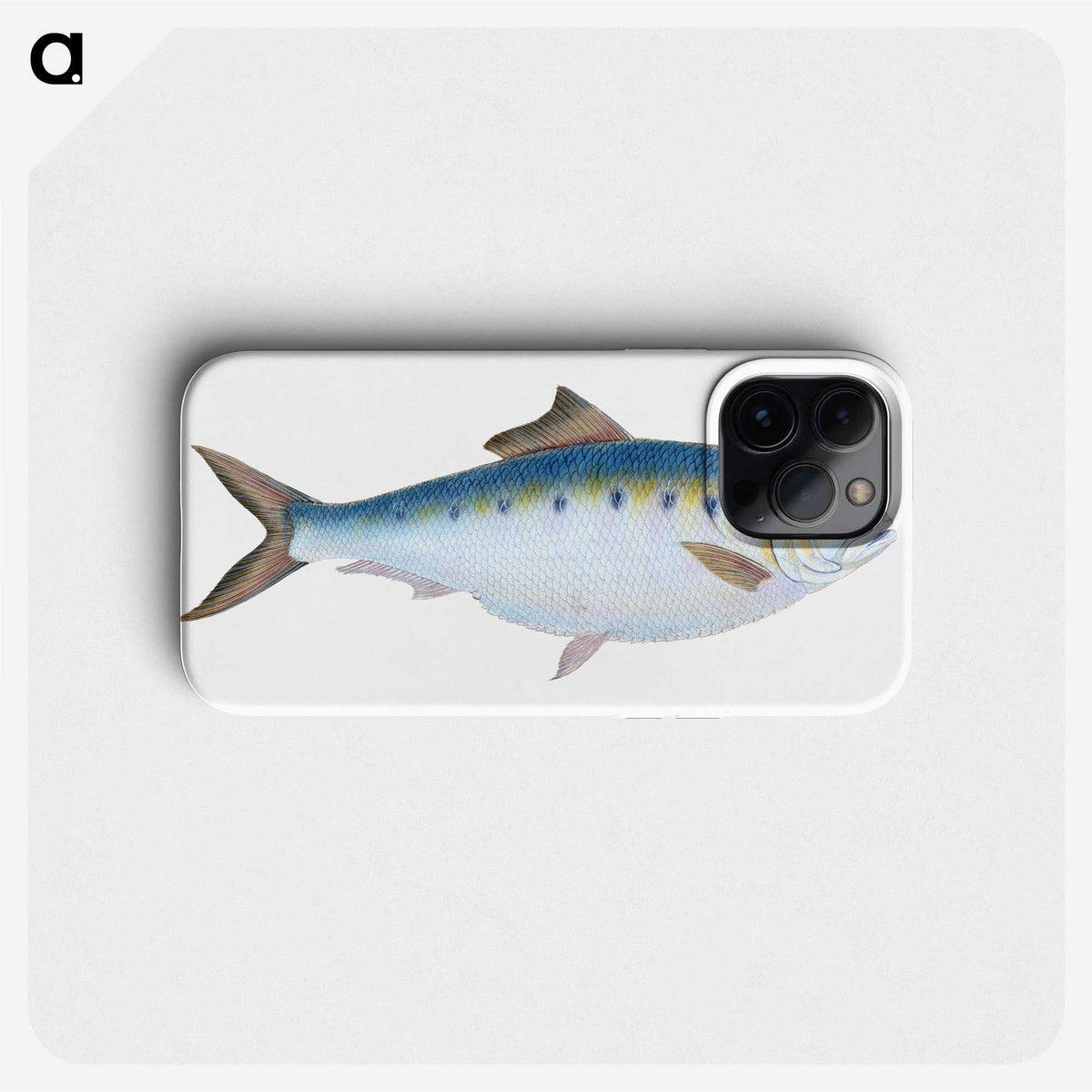 1-12_The-Natural-History-of-British-Fishes_phone