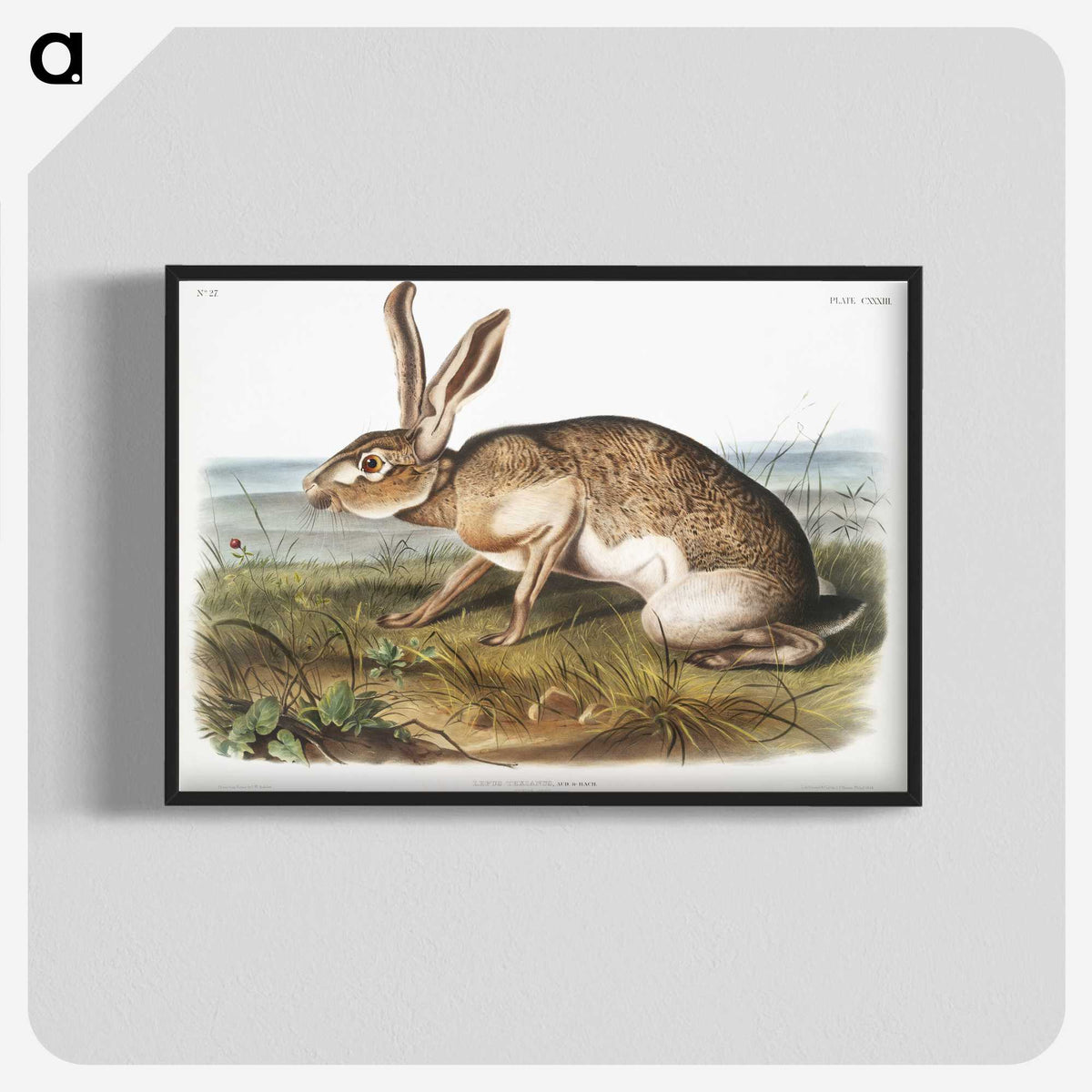1-12_The-Viviparous-Quadrupeds_blk-crop