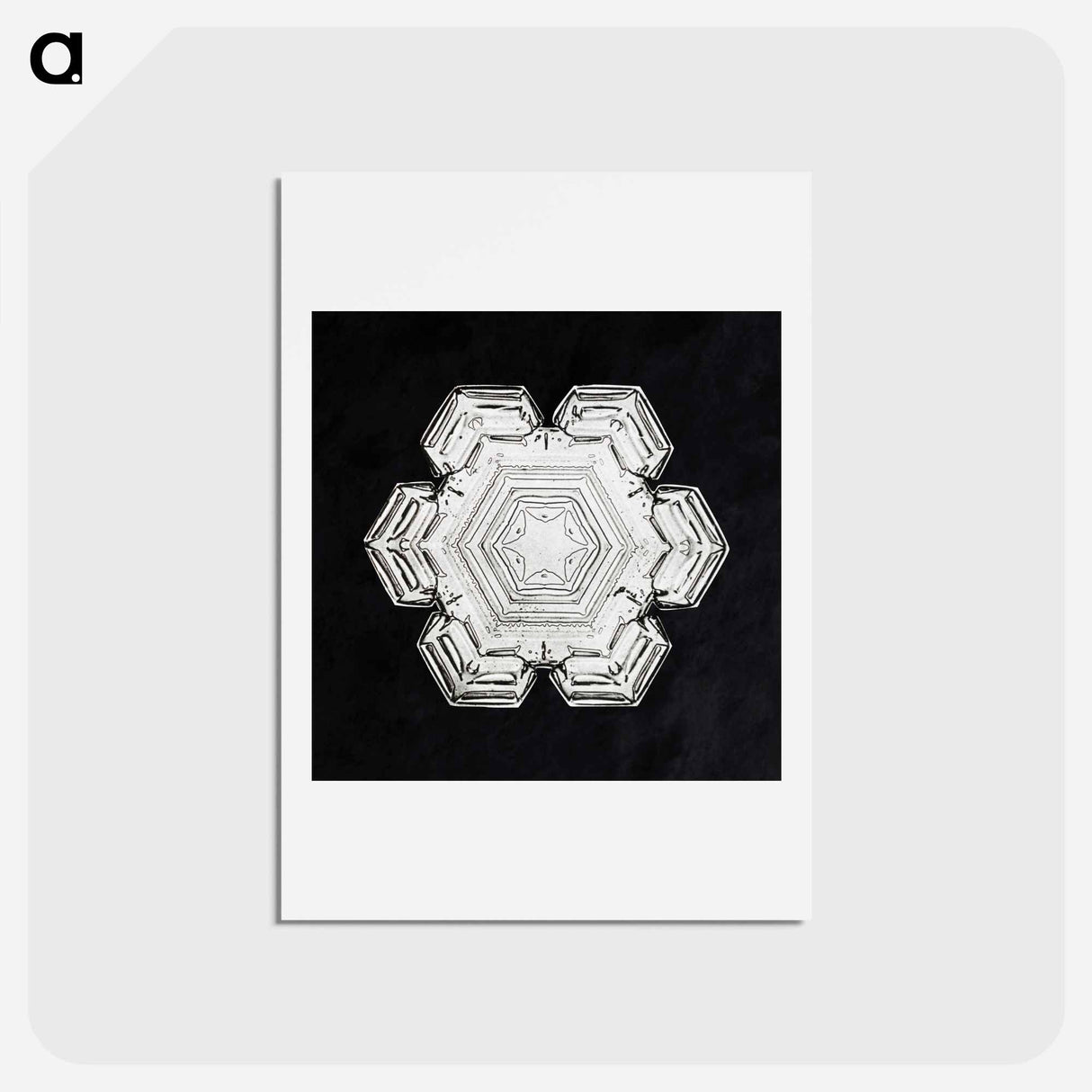 アートポストカード-Wilson Bentley's Snowflake 10 - ウィルソン ベントレー Postcard.