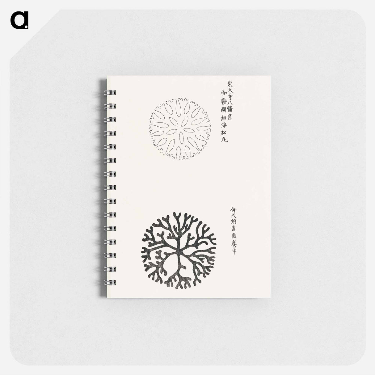 Yatsuo no tsubaki - 八丘椿 Memo.