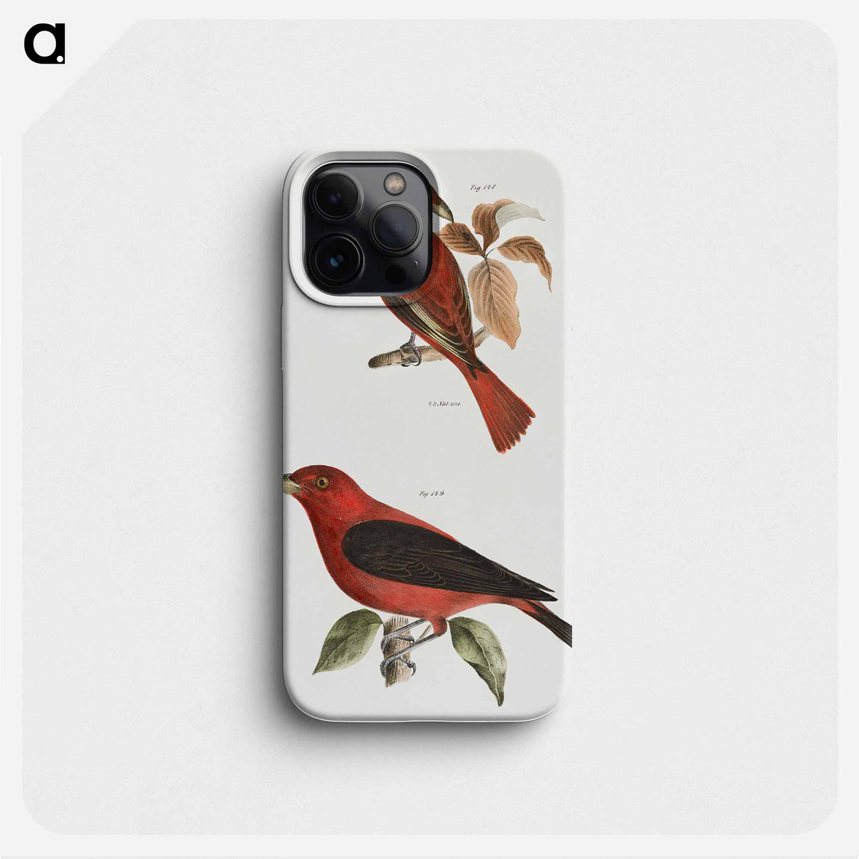 The Redbird (Pyranga æstiva) The Black-winged Redbird (Pyranga rubra) - ニューヨークの動物学 Phone Case.