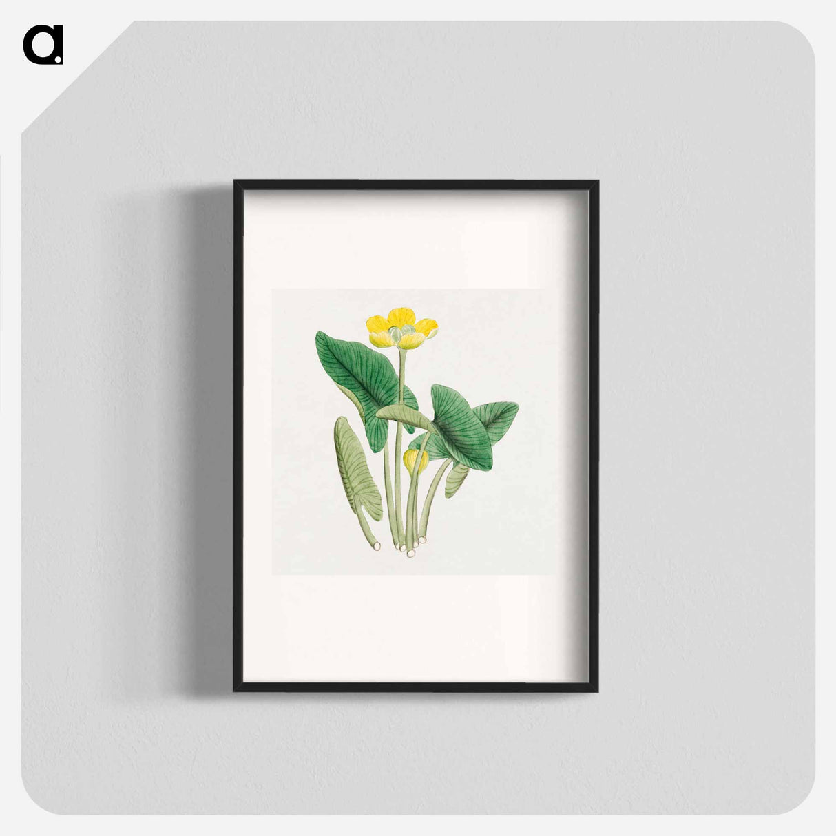 Lotus - 19世紀の日本の花 Poster.