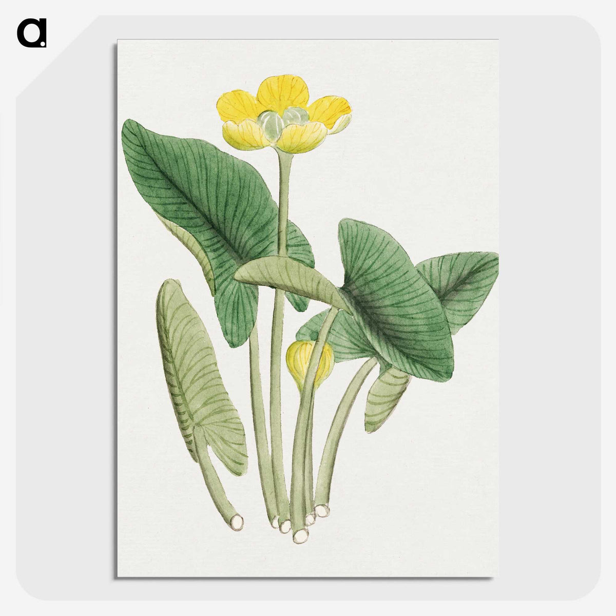 1-13_19th-Century-Japanese-Flowers_picture-crop
