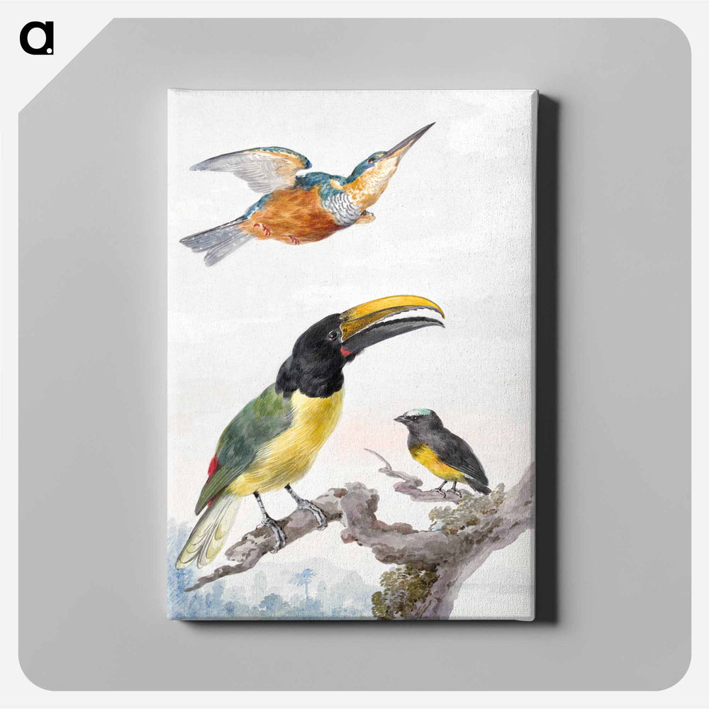 Three Birds - アールト シューマン Canvas.