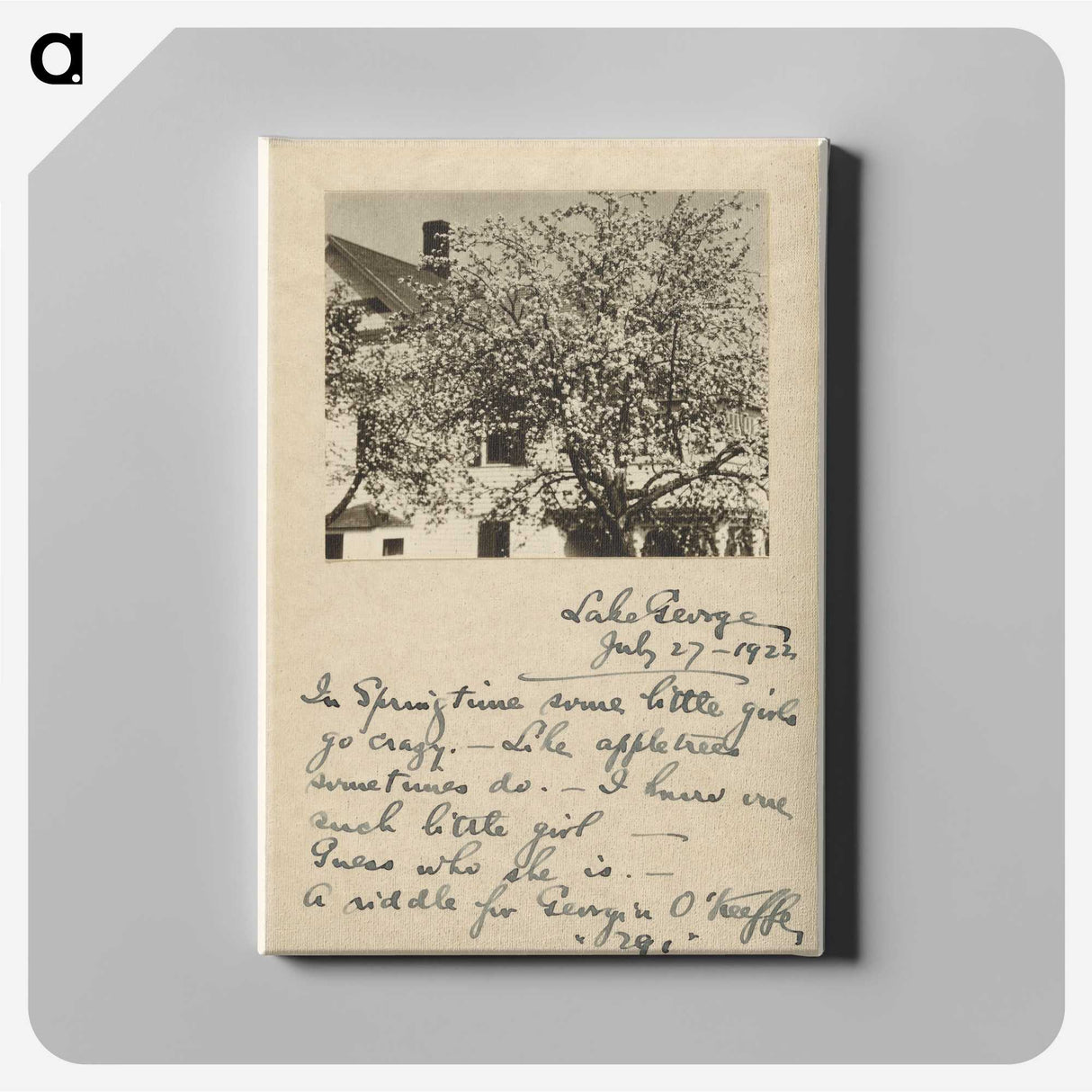 1-13_Alfred-Stieglitz_canvas