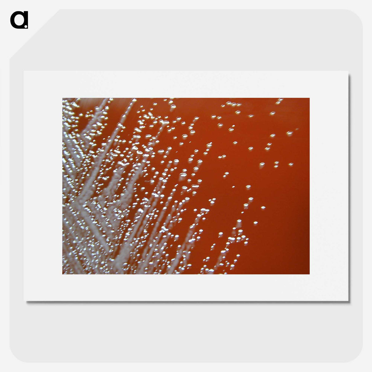 1-13_COVID-19_picture
