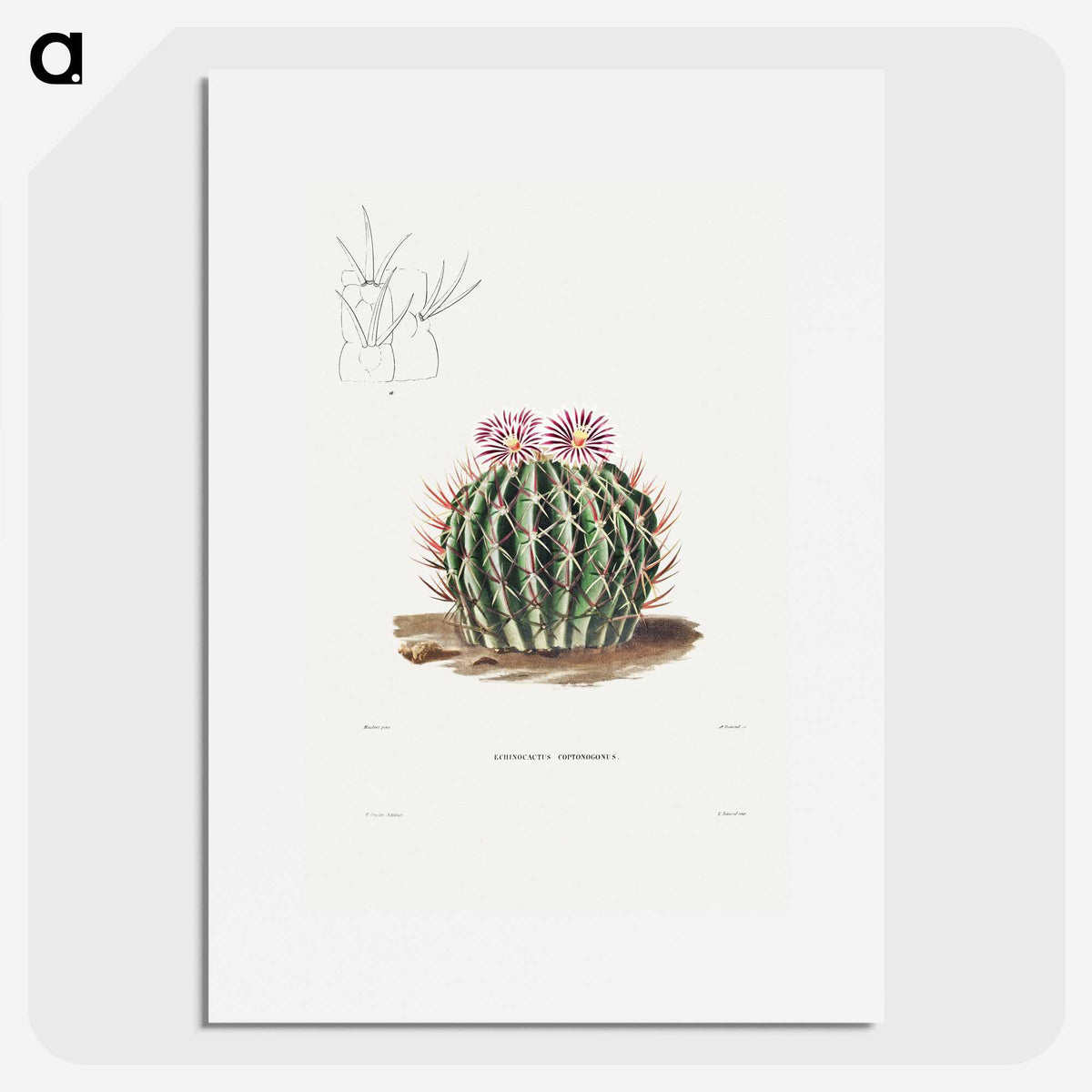 1-13_Charles-Antoine-Lemaire_picture