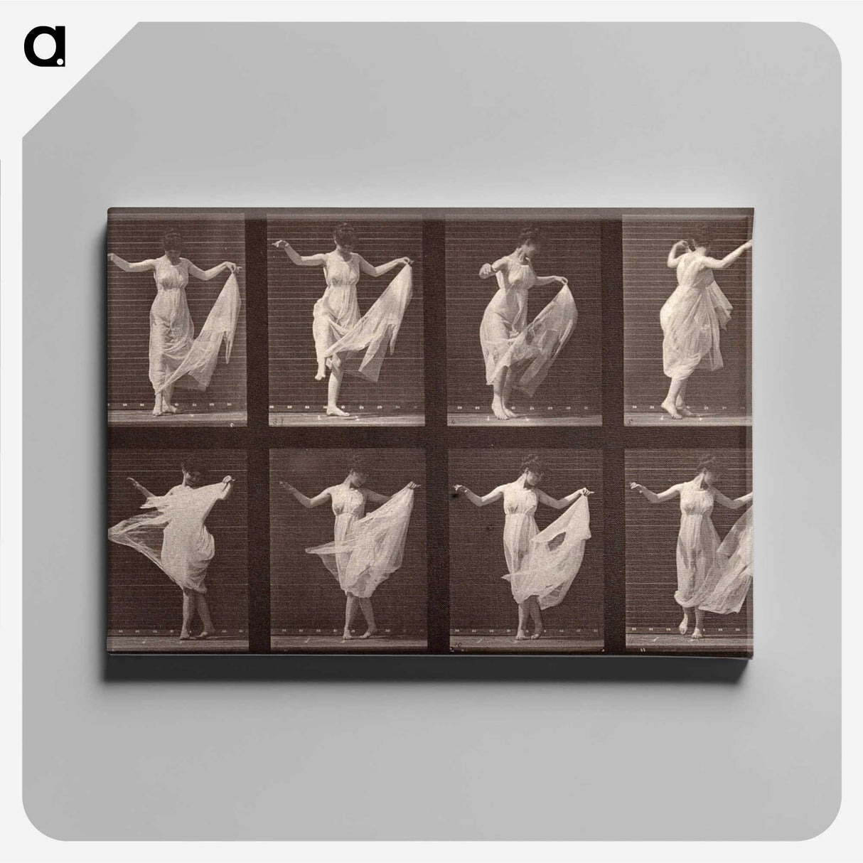 1-13_Eadweard-Muybridge_canvas