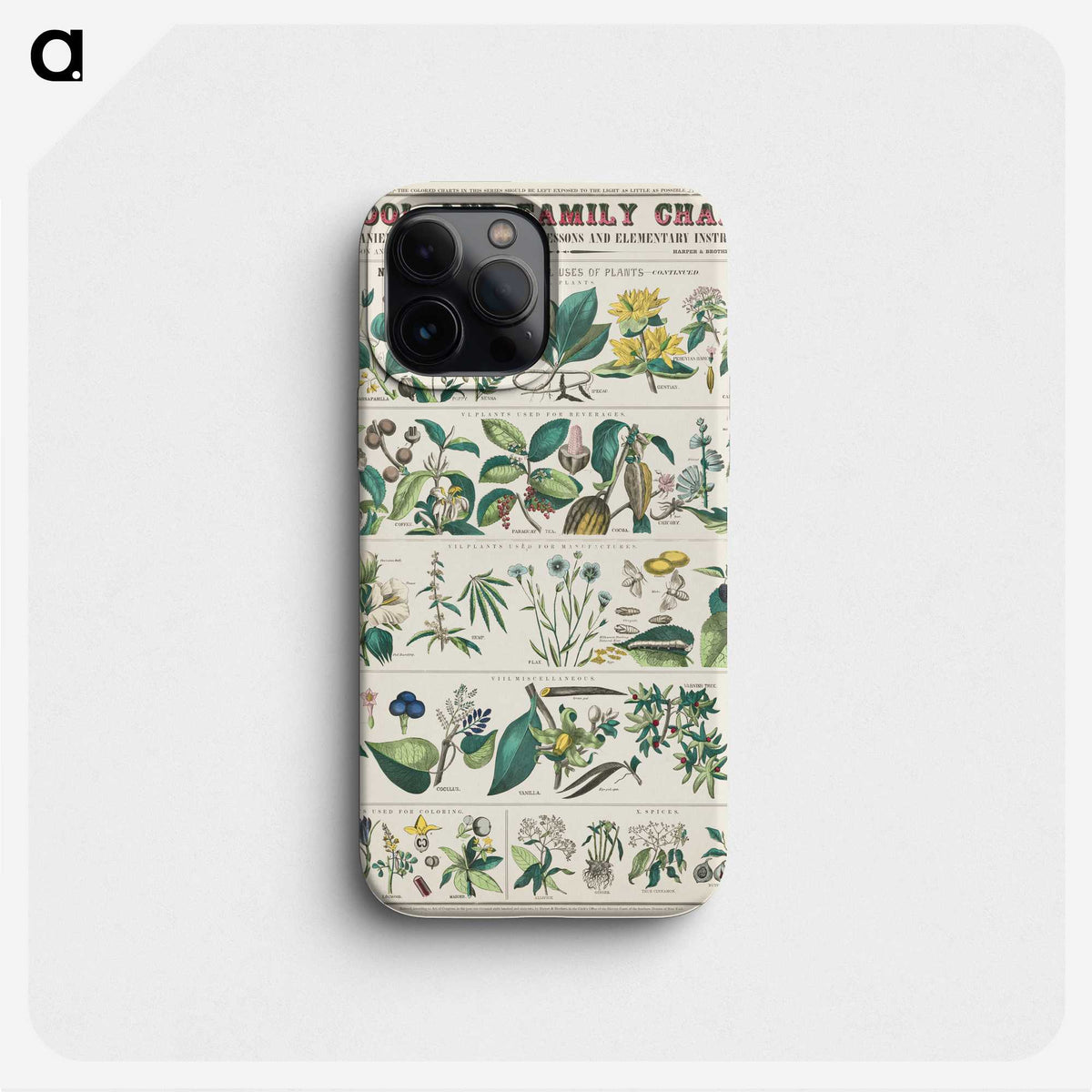 1-13_Education-Charts_phone