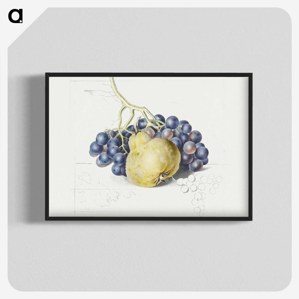 1-13_Georgius-Jacobus-Johannes-van-Os_blk-crop