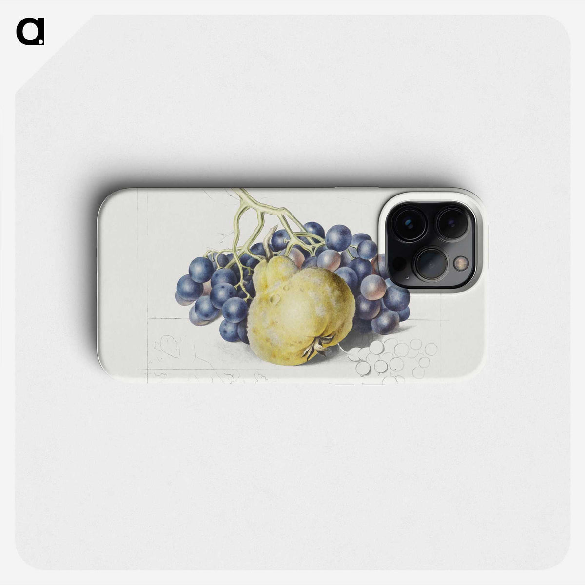 1-13_Georgius-Jacobus-Johannes-van-Os_phone