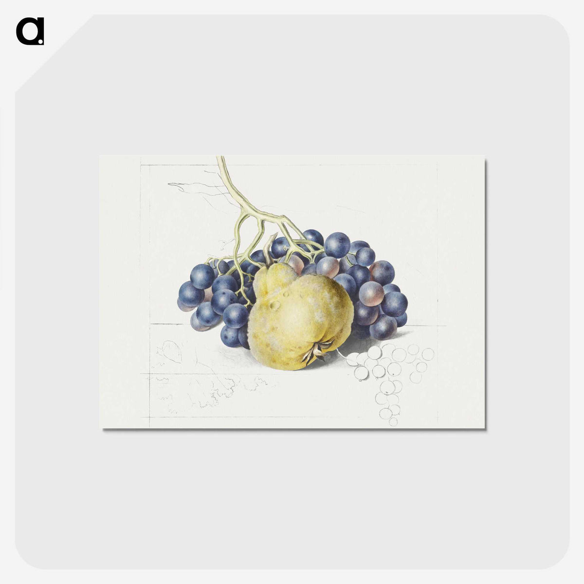 1-13_Georgius-Jacobus-Johannes-van-Os_postcard