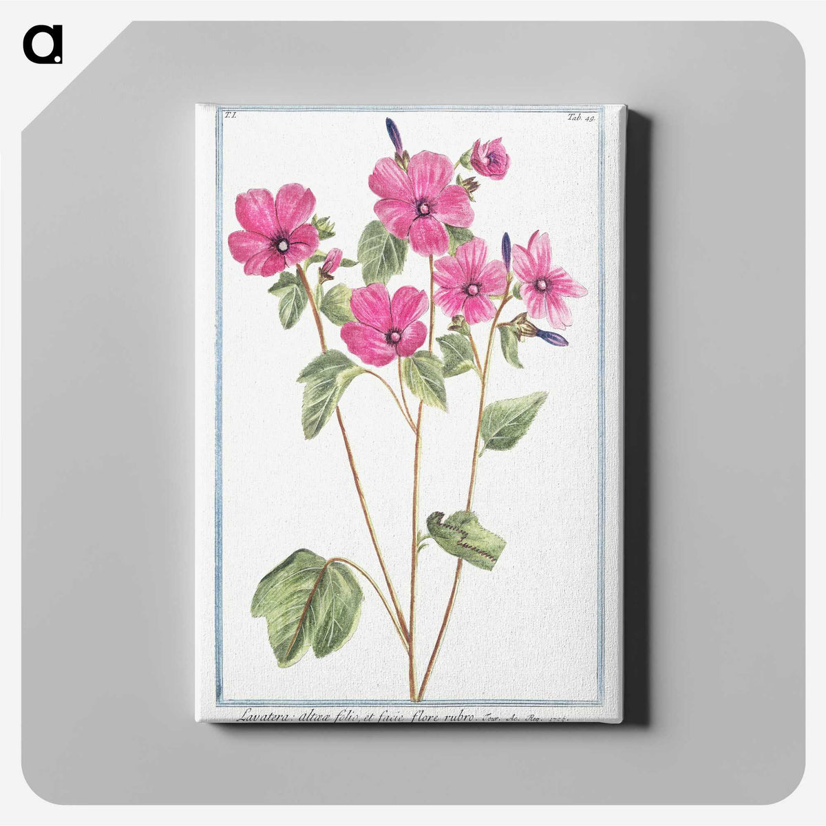 1-13_Hortus-Romanus-Botanical-Plates_canvas
