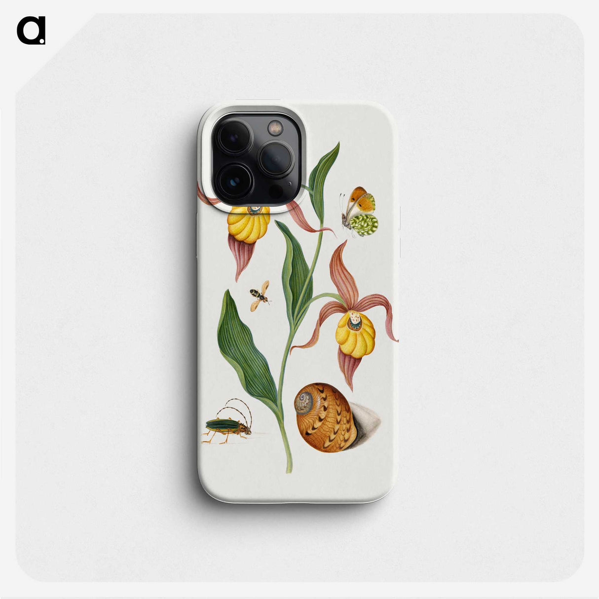 1-13_James-Bolton_phone