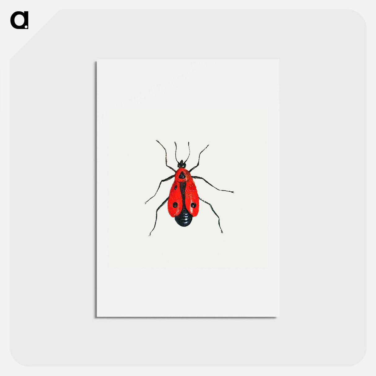 アートポストカード-Firebug from Insects and Fruits
- ヤン ファン ケッセル Postcard.