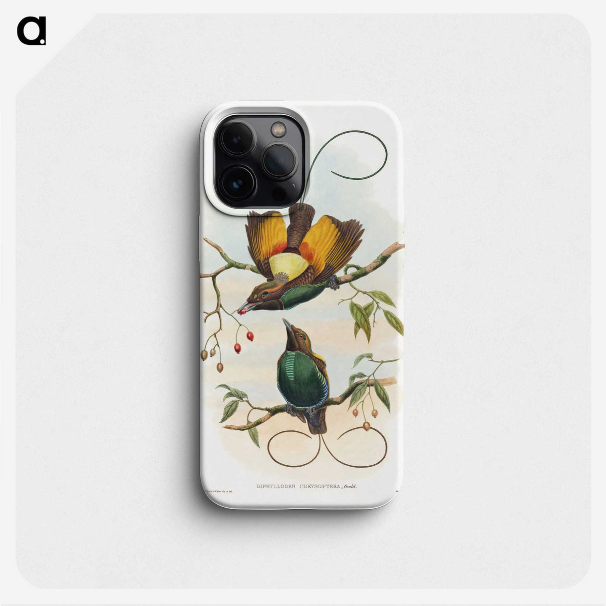 1-13_John-Gould_phone