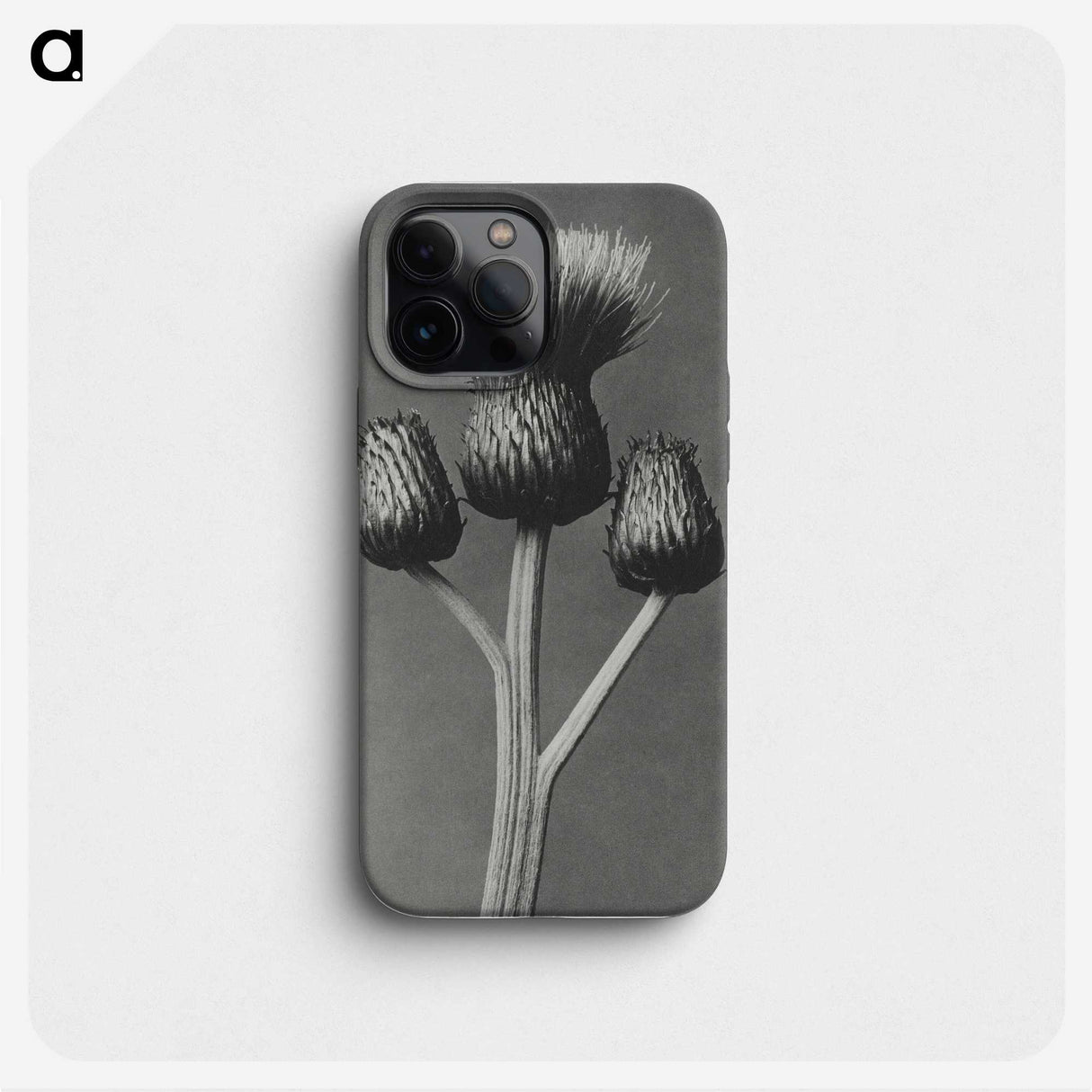 1-13_Karl-Blossfeldt_phone