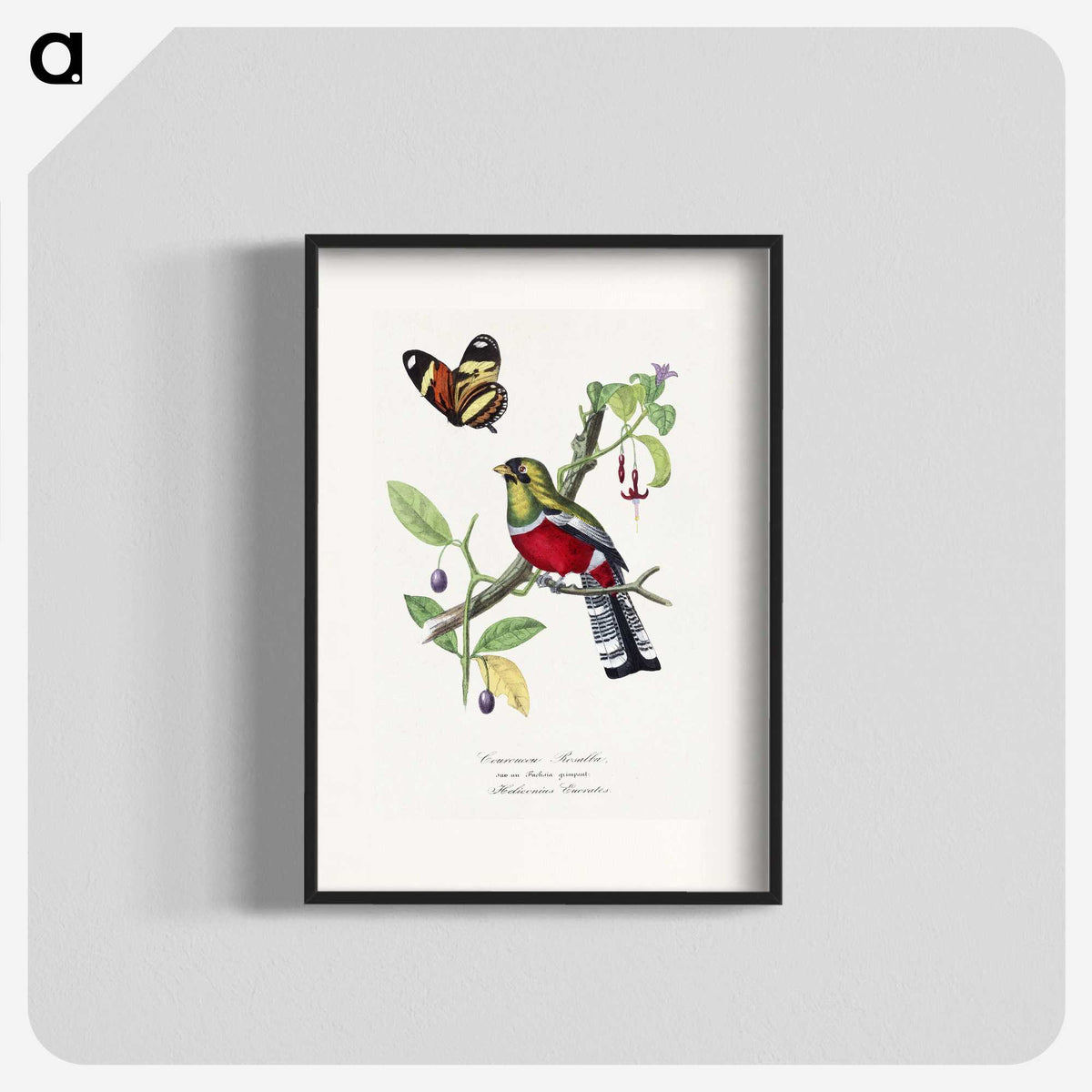 1-13_Le-Jardin-des-Plantes_blk