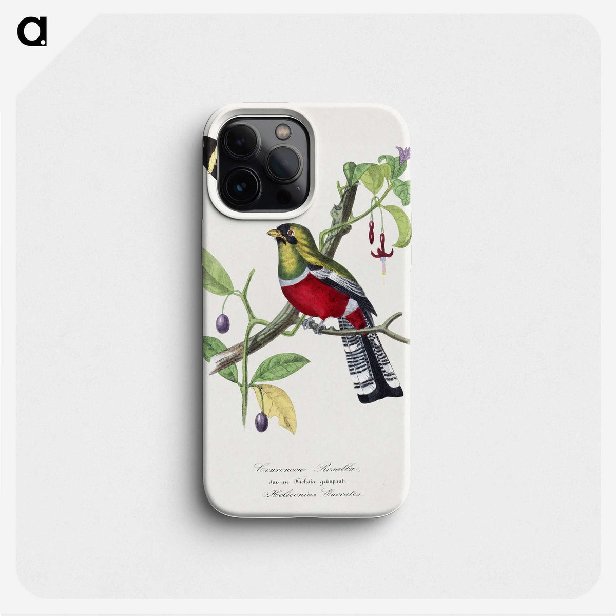1-13_Le-Jardin-des-Plantes_phone