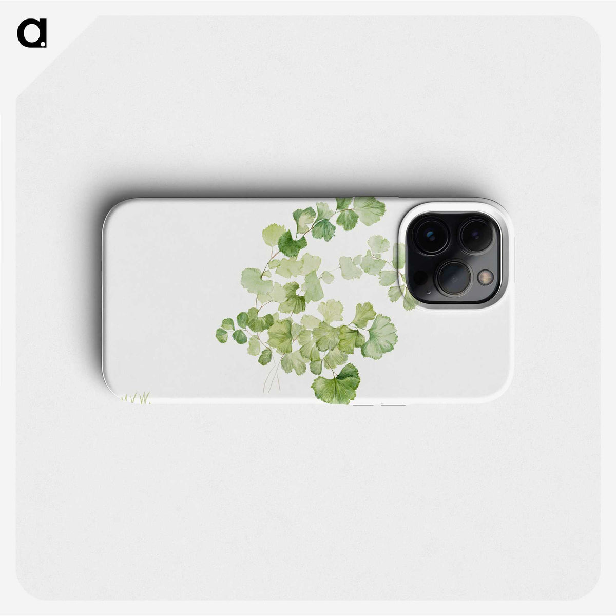 1-13_Mary-Vaux-Walcott_phone