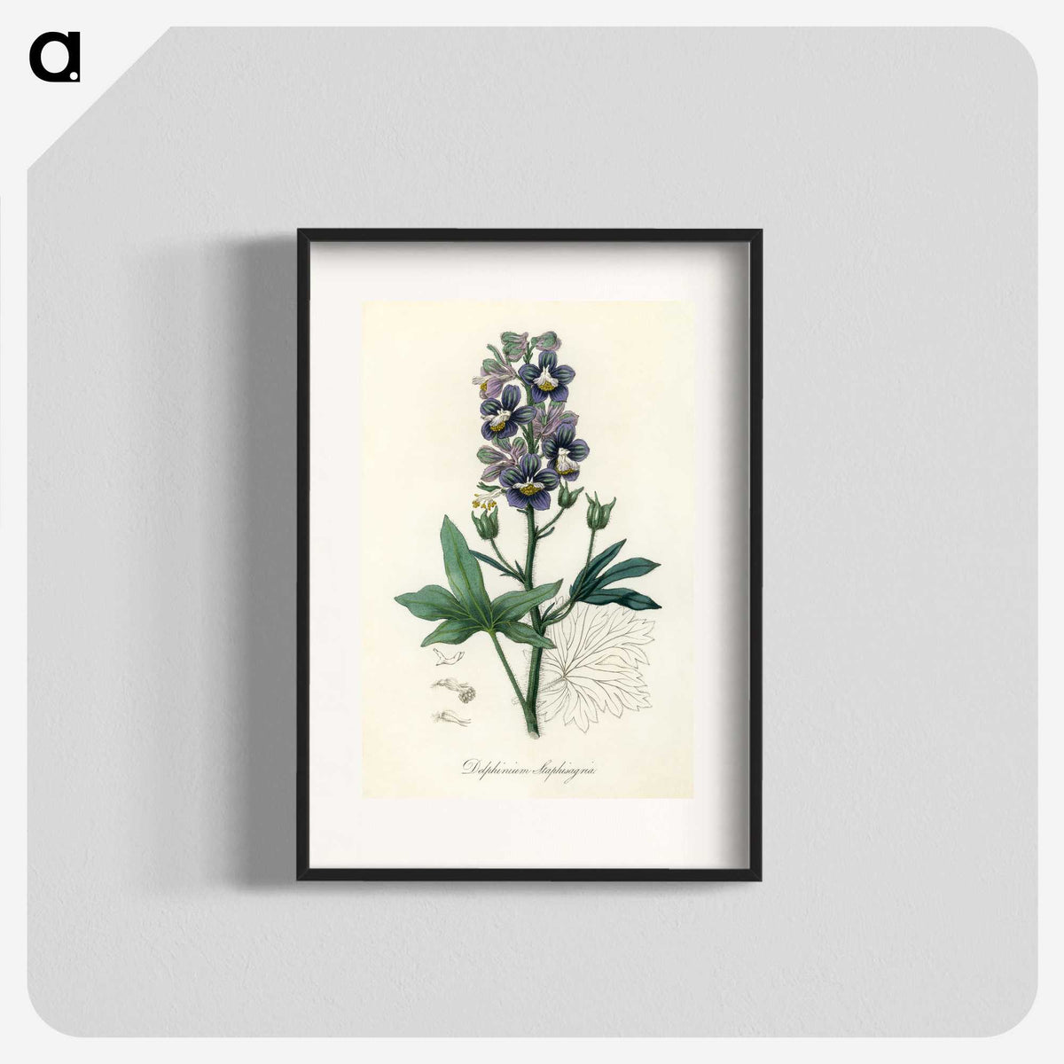 1-13_Medical-Botany_blk