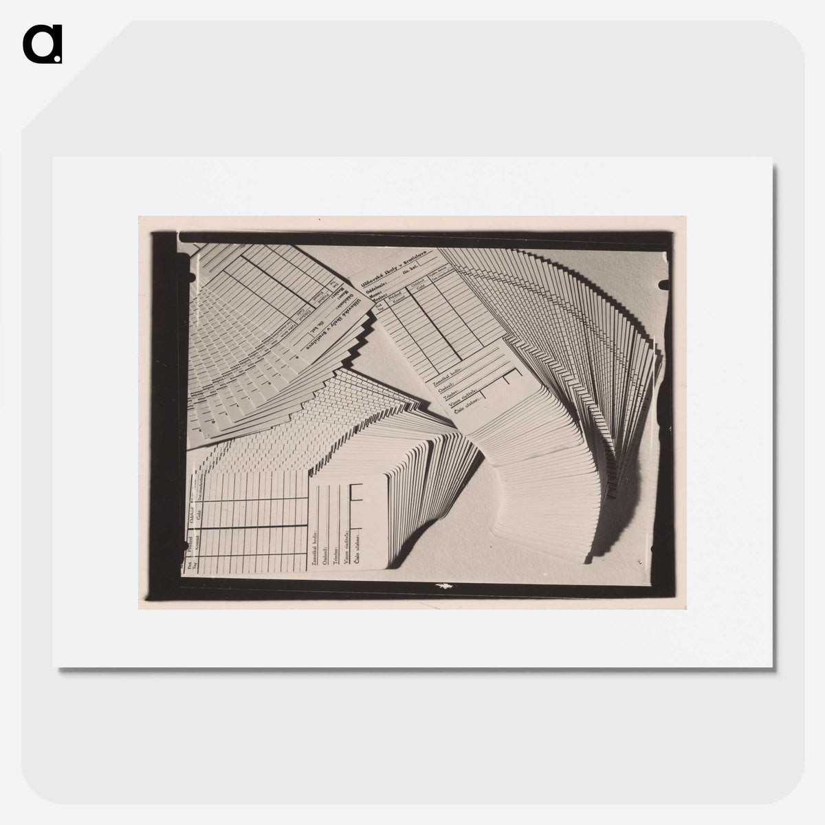 1-13_Milos-Dohnany_picture