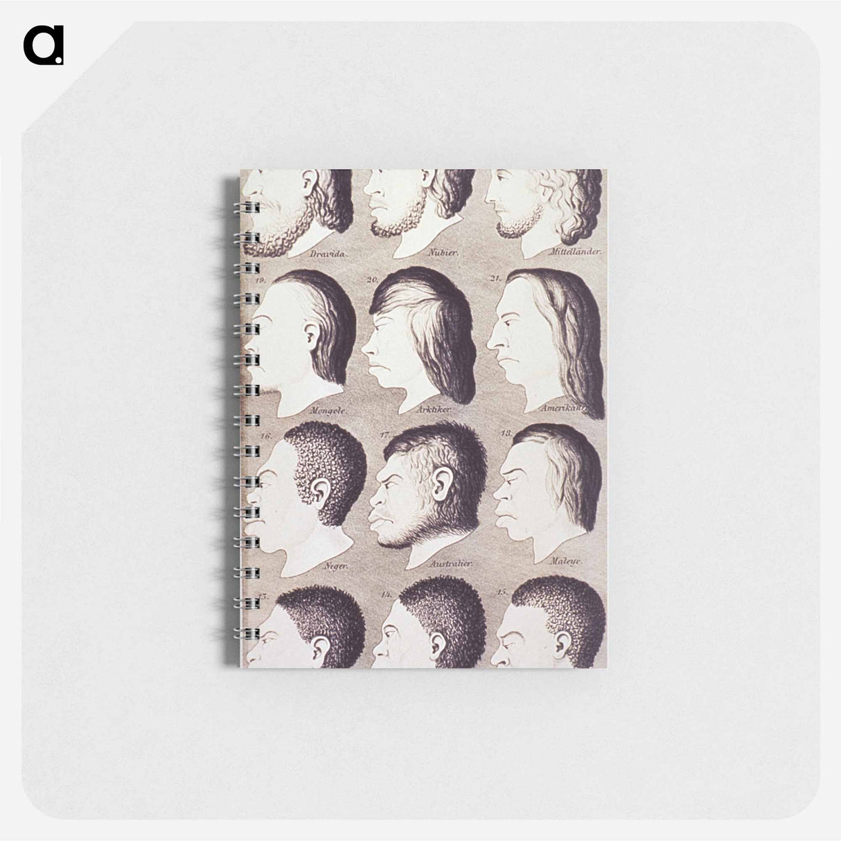 アートメモ帳-Evolution of Facial Features
- 国立医学図書館 Memo.