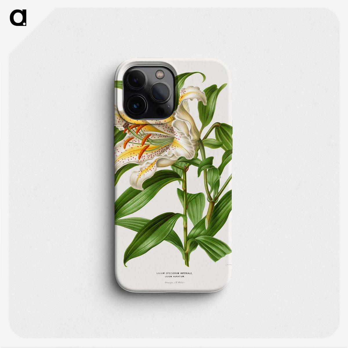 1-13_Nederlandsche-Flora-en-Pomona_phone
