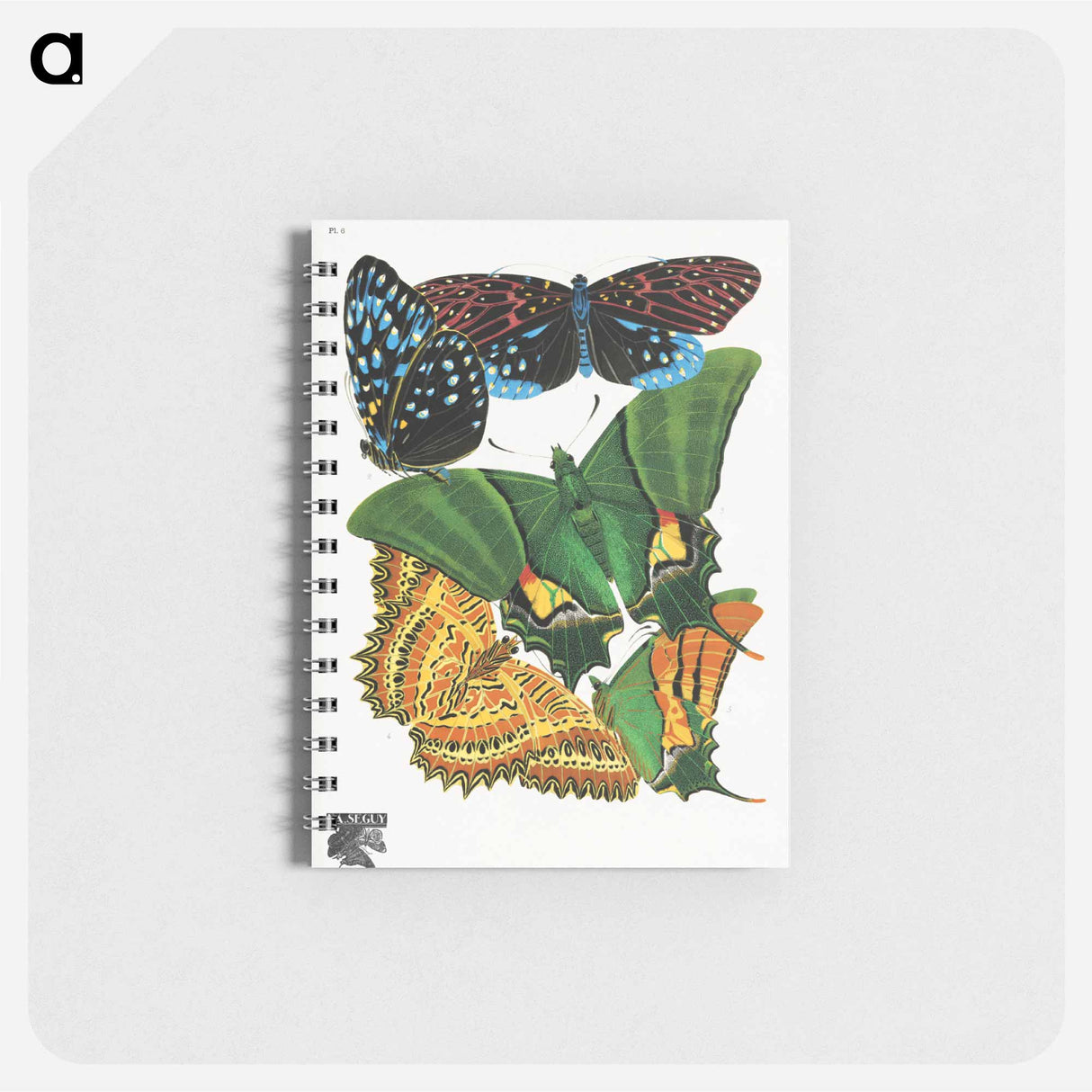 アートメモ帳-Vintage Butterflies
- パピヨン Memo.