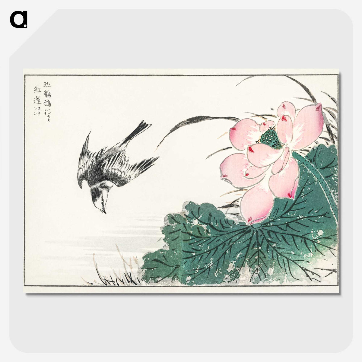 1-13_Pictorial-Monograph-of-Birds_picture-crop
