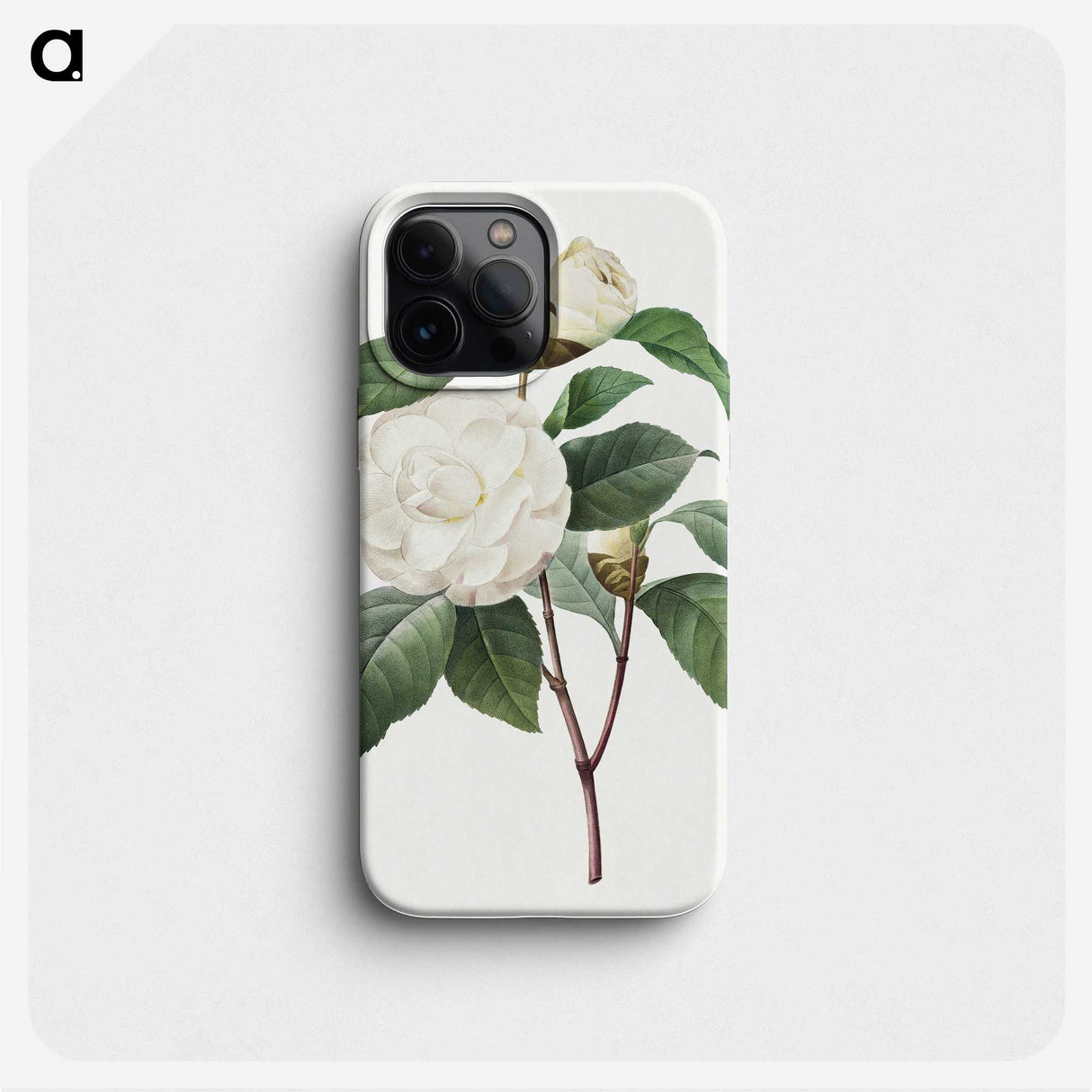 1-13_Pierre-Joseph-Redoute_phone