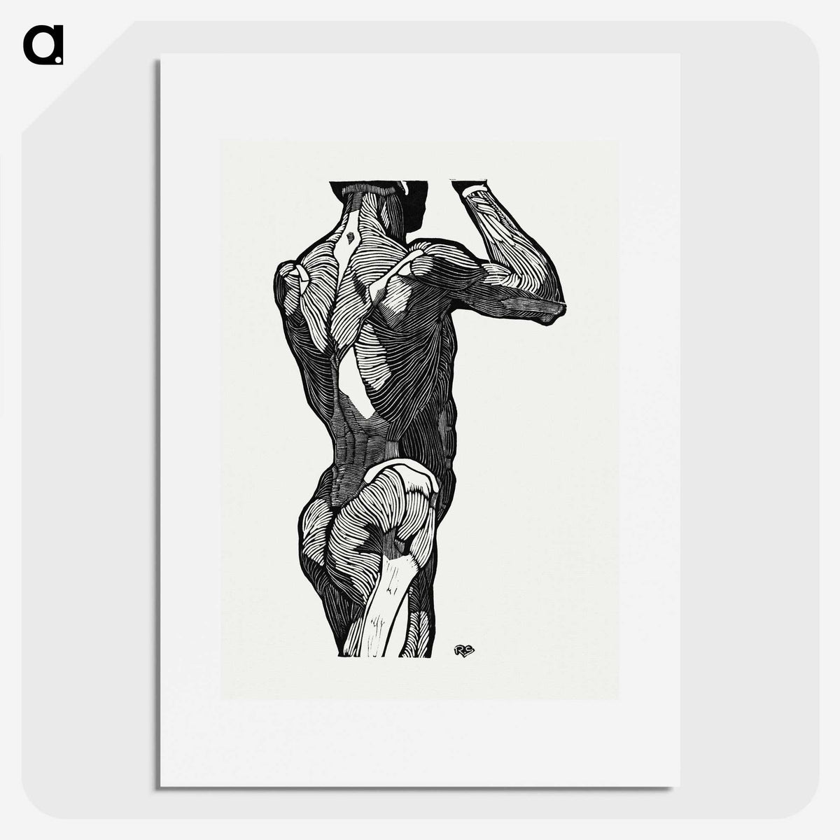 1-13_Reijer-Stolk_picture