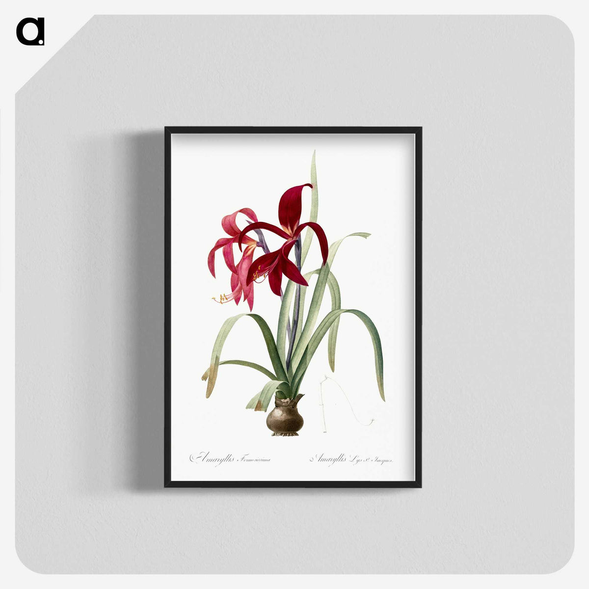 1-13_The-Lilies_blk-crop
