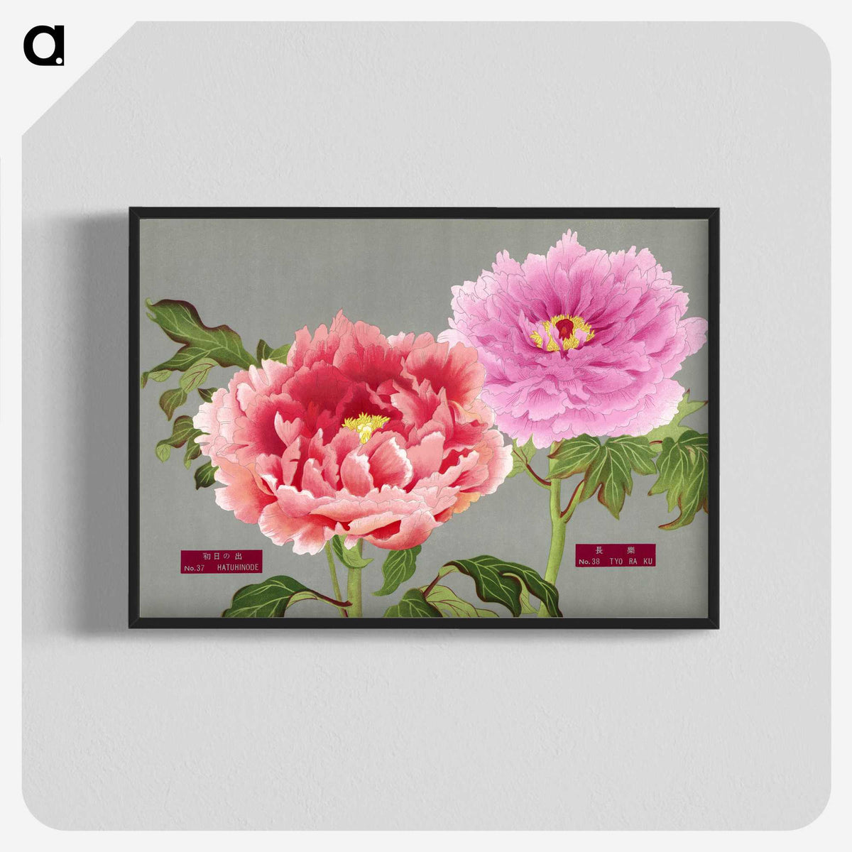 1-13_The-Picture-Book-of-Peonies_blk-crop