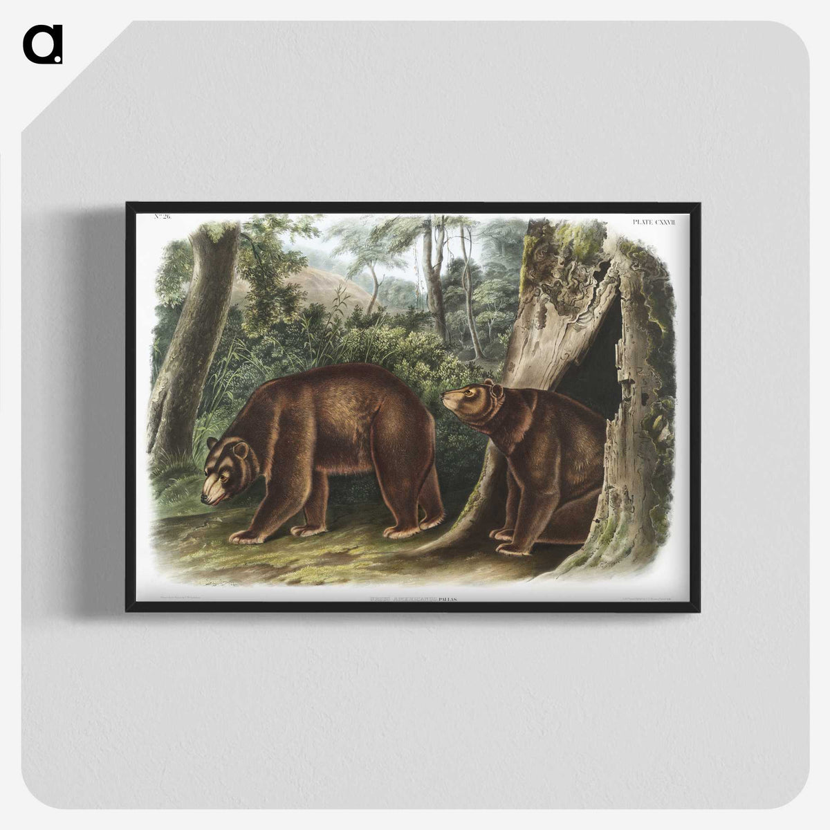 1-13_The-Viviparous-Quadrupeds_blk-crop