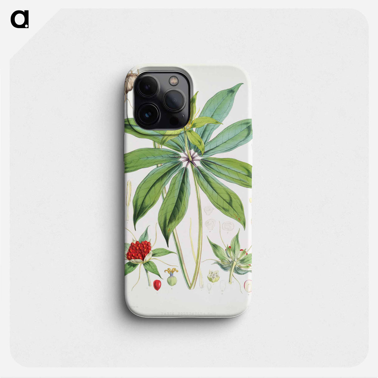 Paris Polyphylla, Smith - Walter Hood Fitch Phone Case.